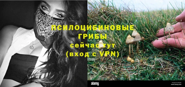 кристаллы Алзамай
