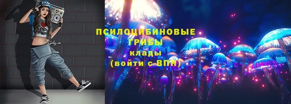PSILOCYBIN Алексин