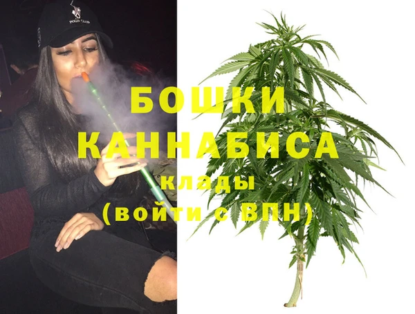 PSILOCYBIN Алексин
