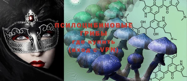 PSILOCYBIN Алексин